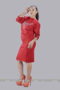 model of the week